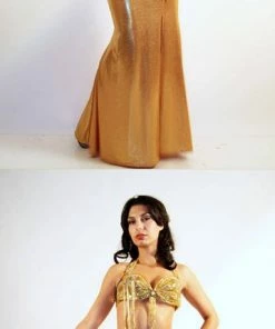 Bellydance Gold Lycra Skirt XXLarge