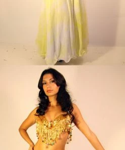 Bellydance Yellow Skirt All Skirts