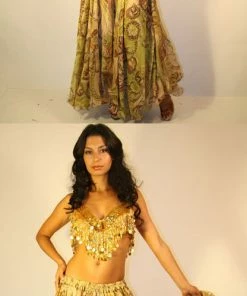 Bellydance Green Skirt All Skirts