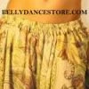 Bellydance Green Skirt All Skirts
