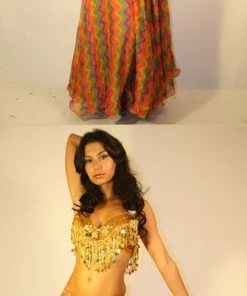 Bellydance Multicolor Skirt All Skirts