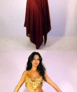 Bellydance Burgundy Skirt
