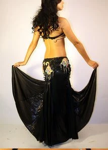 Bellydance Two Piece Costume Costumes