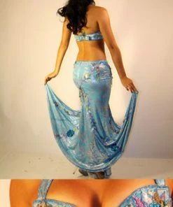 Bellydance Egyptian Bloom Collection Costume Costumes