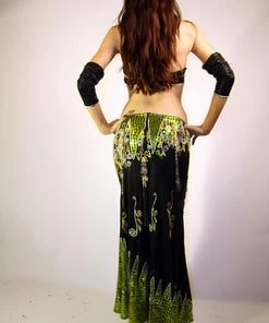 Bellydance Diamond Costume Costumes