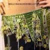 Bellydance Diamond Costume Costumes