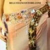 Bellydance Crystal Collection Costumes 1 Bellydance Crystal Collection Costumes