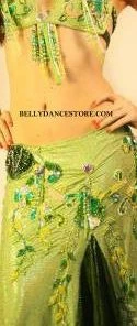 Bellydance Diamond Costume