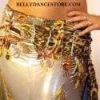 Bellydance Costumes Diamond Costume