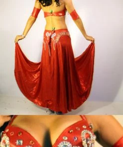 Bellydance Two Piece Costume