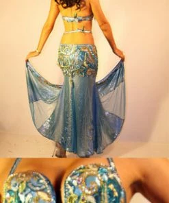 Bellydance Egyptian Bloom Collection Costume