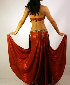 Bellydance Costumes Two Piece Costume