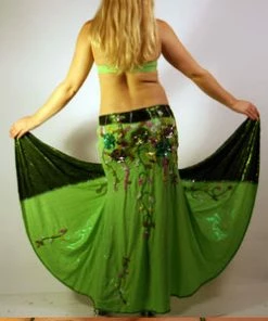 Bellydance Diamond Costume