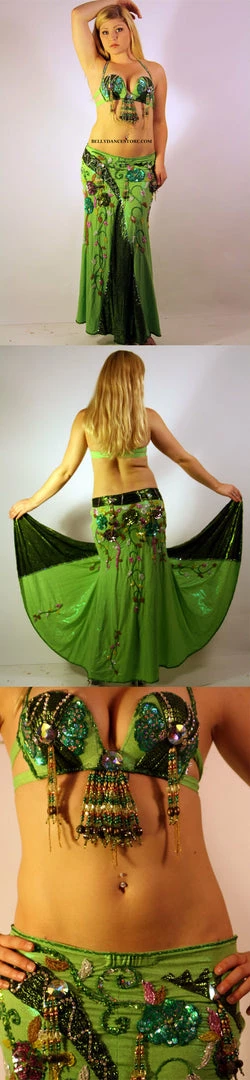 Bellydance Diamond Costume 4 Bellydance Diamond Costume