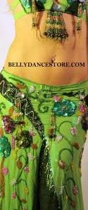 Bellydance Diamond Costume