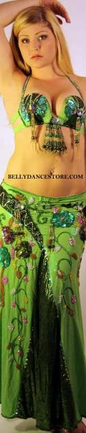 Bellydance Diamond Costume 3 Bellydance Diamond Costume