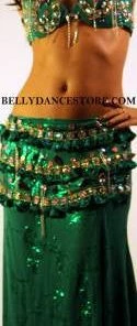 Bellydance Two-Piece Costume Costumes