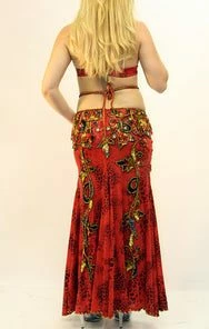 Bellydance Hanan Costume