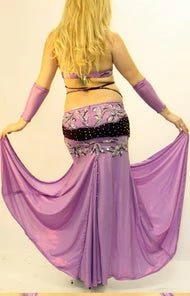 Bellydance Two-Piece Costume Costumes