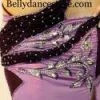 Bellydance Two-Piece Costume Costumes
