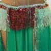 Bellydance Taj Mahal