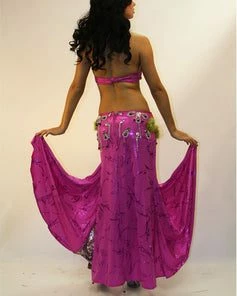 Bellydance Diamond Costume