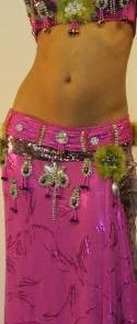 Bellydance Diamond Costume