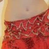 Bellydance Costumes Diamond Costume Clearance