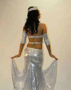 Bellydance Two-Piece Costume Costumes