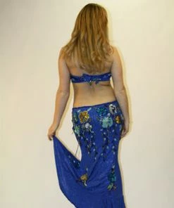 Bellydance Costumes Egyptian Bloom Collection Costume