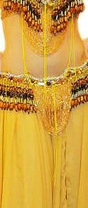 Bellydance Bra&Belts Taj Mahal