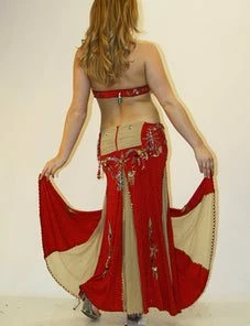 Bellydance Diamond Costume