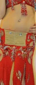 Bellydance Diamond Costume