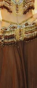 Bellydance Taj Mahal