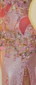 Bellydance Costumes Dress
