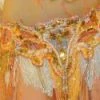 Bellydance Taj Mahal Bra And Belt