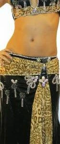 Bellydance Costumes Crystal Collection