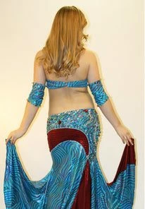 Bellydance Nabila Costume Costumes