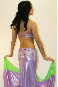 Bellydance Crystal Collection Costumes