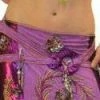 Bellydance Two-Piece Costume