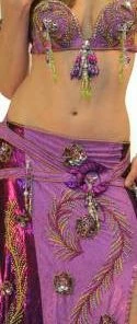 Bellydance Two-Piece Costume