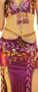 Bellydance Egyptian Bloom Collection Costume