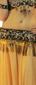 Bellydance Lili Bra And Belt Set