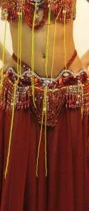 Bellydance Bra&Belts Taj Mahal