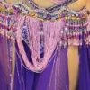 Bellydance Taj Mahal Bra And Belt Set