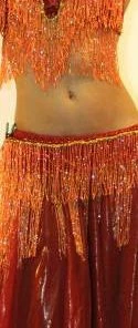 Bellydance Bra&Belts Ice Collection