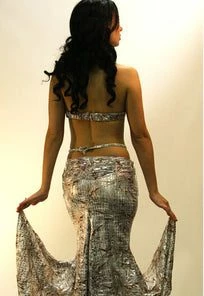 Bellydance Two-Piece Costume