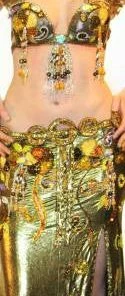 Bellydance Egyptian Bloom Collection Costume