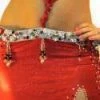 Bellydance Diamond Costume