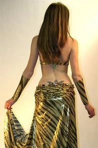 Bellydance Costumes Diamond Costume